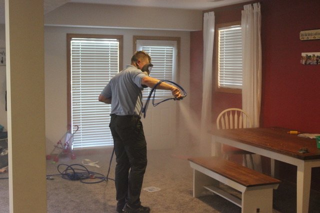 mold removal grosse point woods